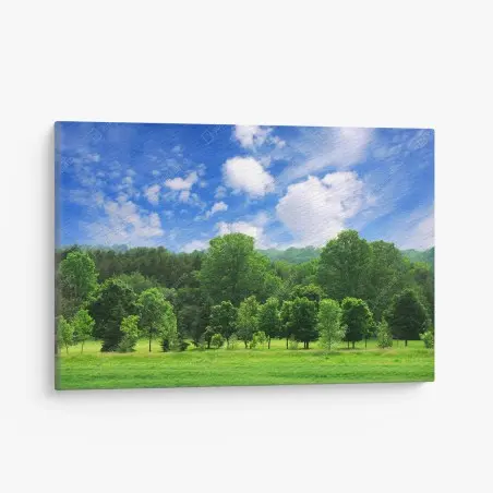 Tableau sur toile forêt verdoyante sous un ciel bleu éclatant – Wallnifity®