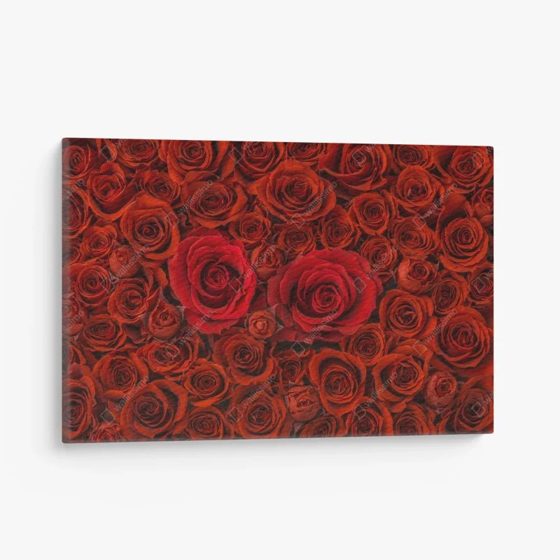 Tableaux sur toile – Wallnifity®