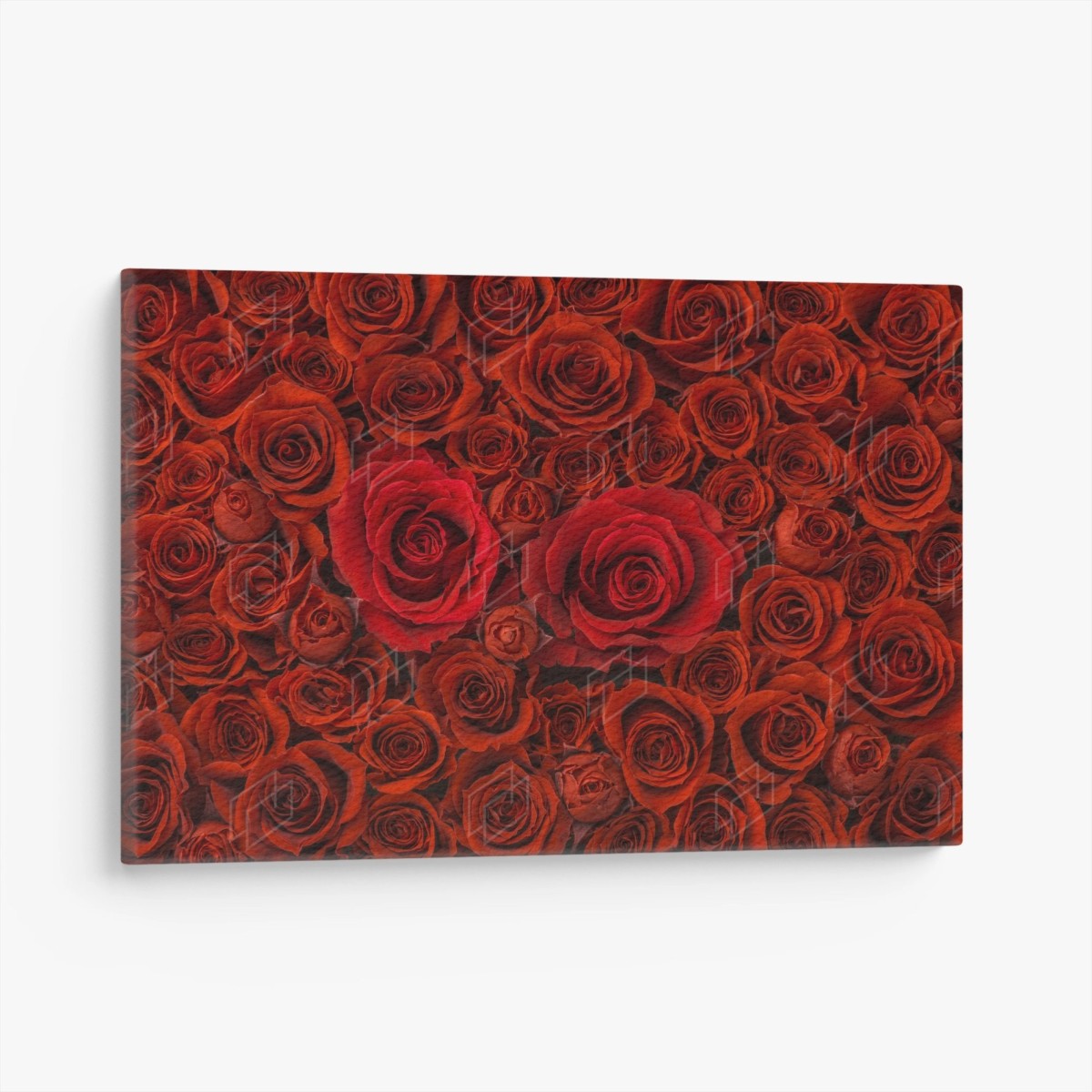 Tableau sur toile mur floral de roses rouges – Wallnifity®