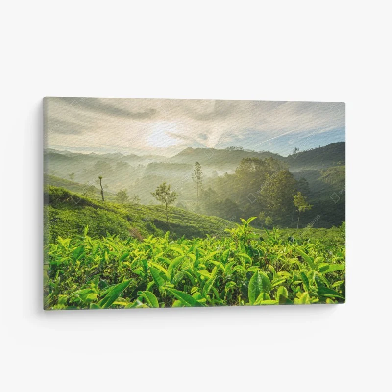 Paysages – Wallnifity®