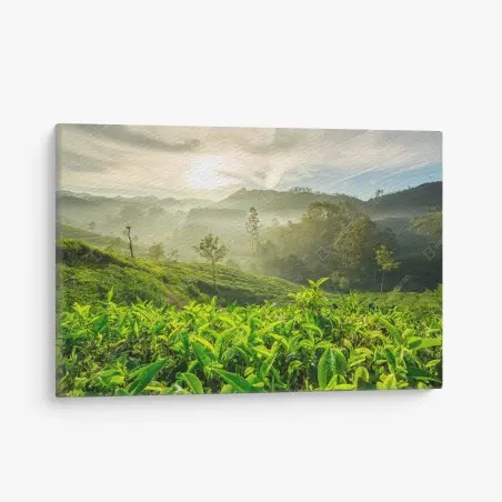 Tableau sur toile lever de soleil sur les plantations de thé à Munnar, Kerala, Inde – Wallnifity®