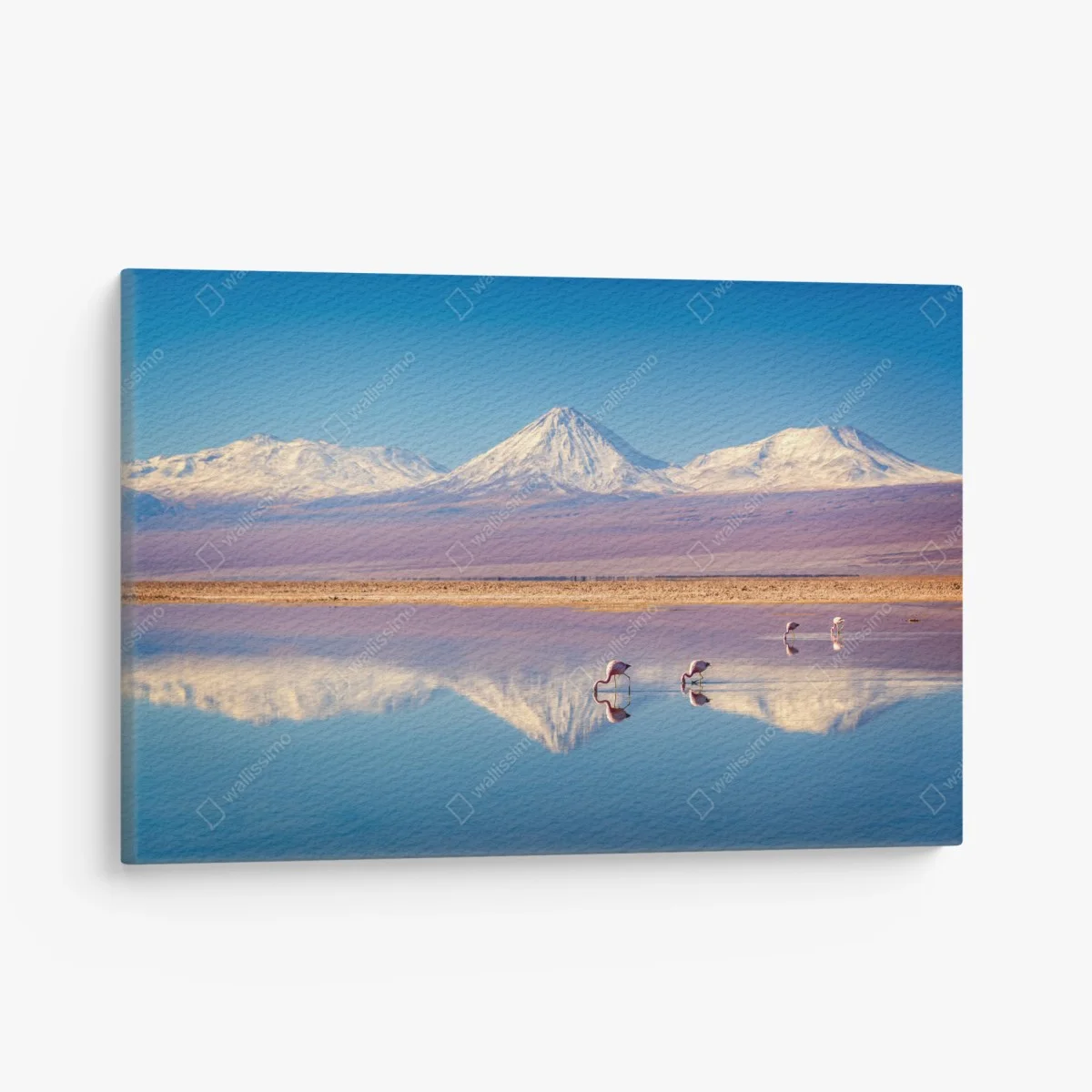 Tableau sur toile reflet du volcan Licancabur sur la lagune Chaxa – Wallnifity® Tableau sur toile reflet du volcan Licancabur sur la lagune Chaxa – Wallnifity®
