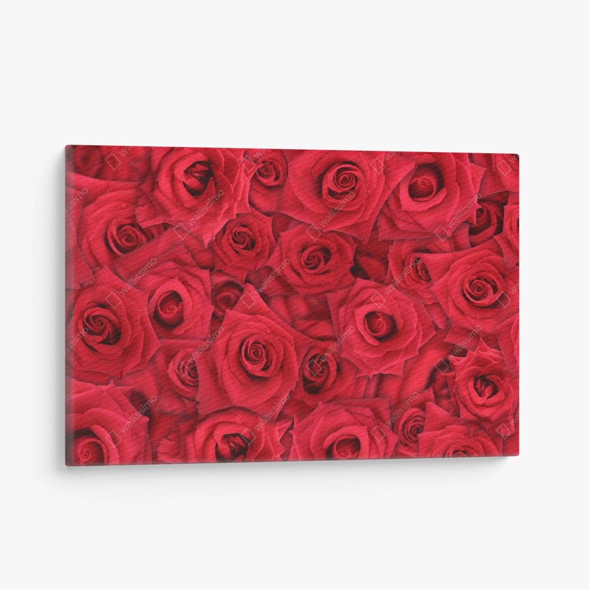 Tableau sur toile motif de roses rouges en gros plan – Wallnifity®