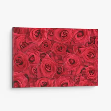 Tableau sur toile motif de roses rouges en gros plan – Wallnifity®