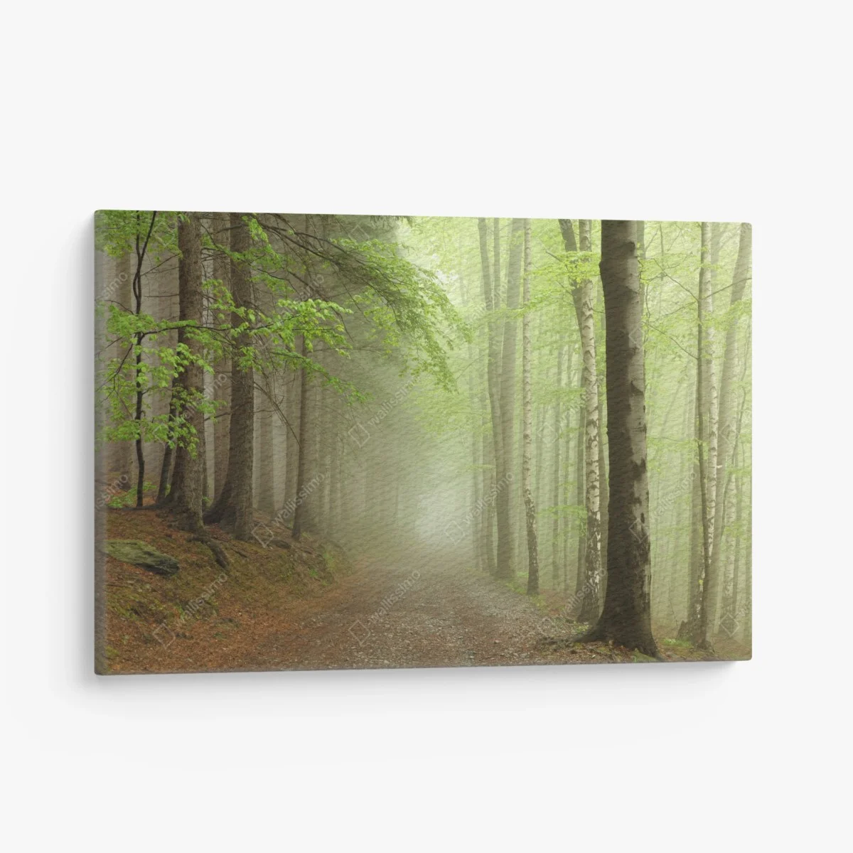 Tableau sur toile sentier brumeux dans la forêt – Wallnifity® Tableau sur toile sentier brumeux dans la forêt – Wallnifity®