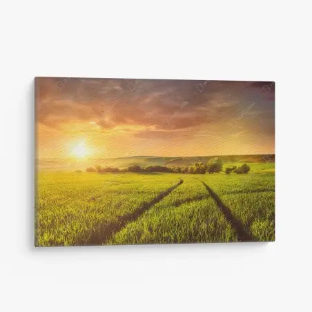 Tableau sur toile champ doré au soleil couchant – Wallnifity®