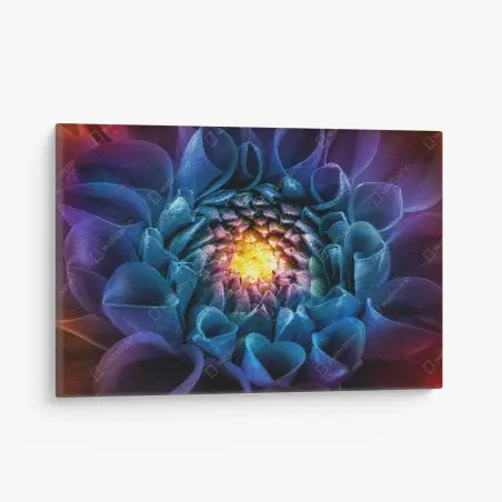 Tableau sur toile éclat floral multicolore - chrysanthème en macro – Wallnifity®