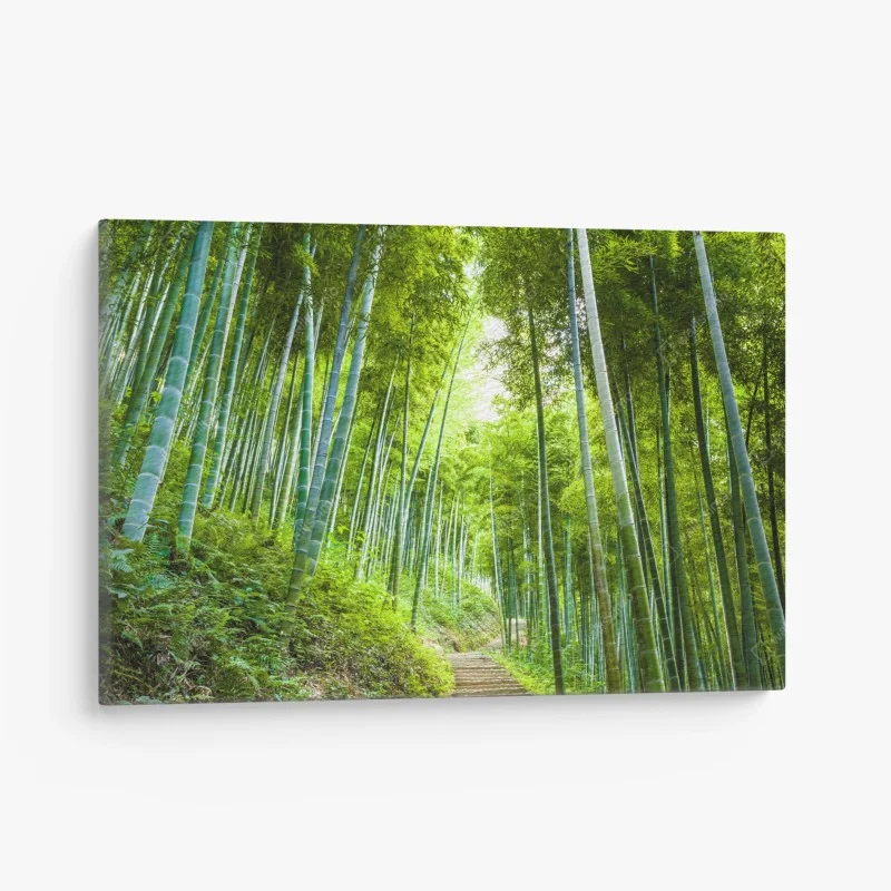 Forêts – Wallnifity®