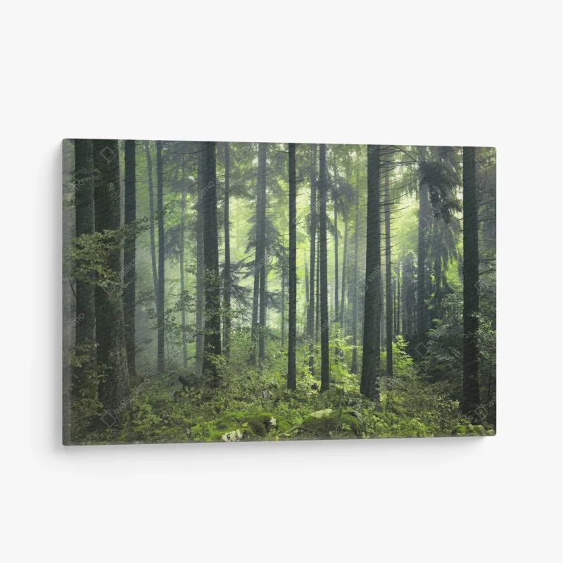 Tableaux sur toile – Wallnifity®