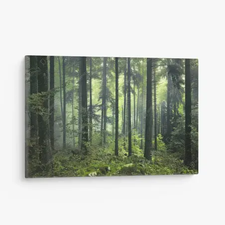 Tableau sur toile forêt printanière mystérieuse au matin brumeux – Wallnifity®