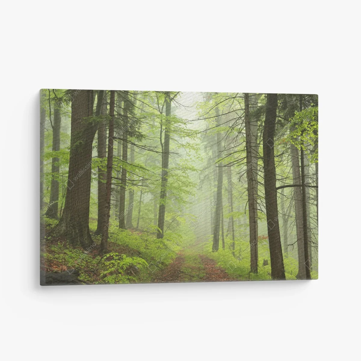 Tableau sur toile sentier brumeux dans la forêt printanière – Wallnifity® Tableau sur toile sentier brumeux dans la forêt printanière – Wallnifity®