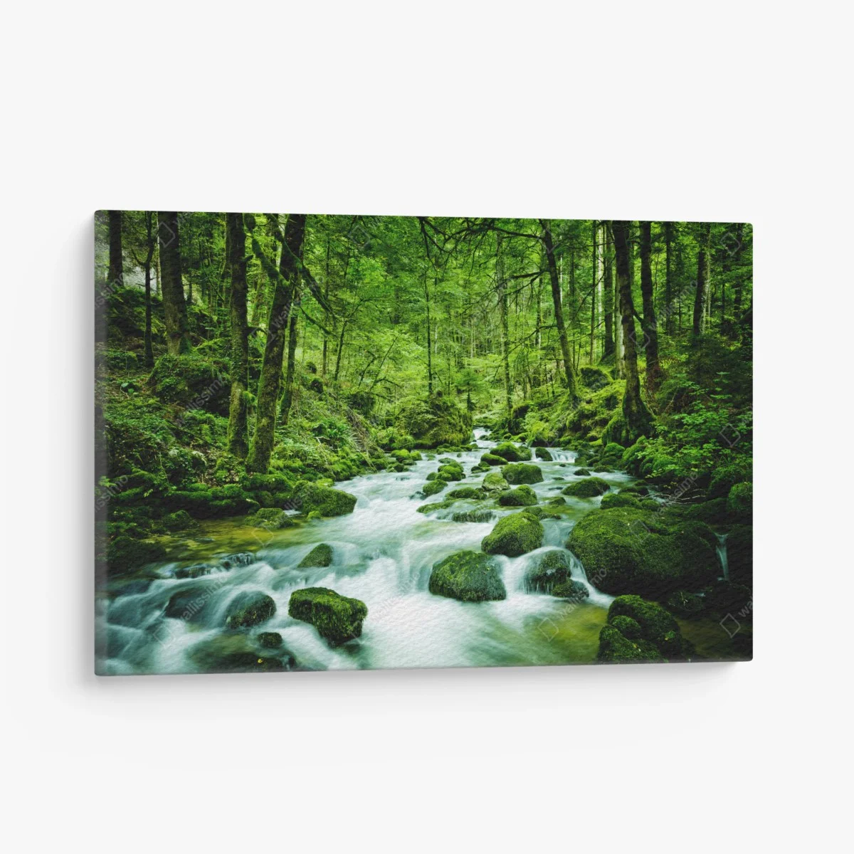 Tableau sur toile ruisseau moussu en forêt – Wallnifity® Tableau sur toile ruisseau moussu en forêt – Wallnifity®