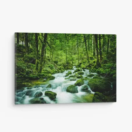Tableau sur toile ruisseau moussu en forêt – Wallnifity®
