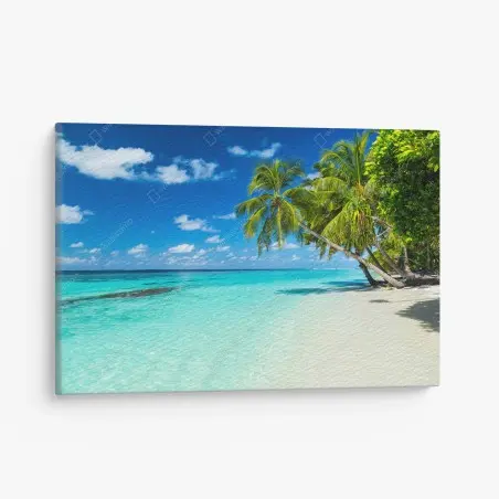 Tableau sur toile plage tropicale aux palmiers et eau turquoise – Wallnifity®