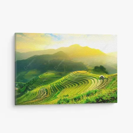 Tableau sur toile rizières en terrasses au soleil doré – Wallnifity®