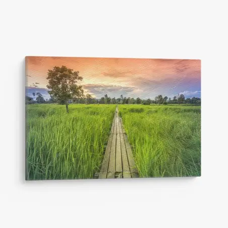 Tableau sur toile chemin en bois au milieu des rizières – Wallnifity®