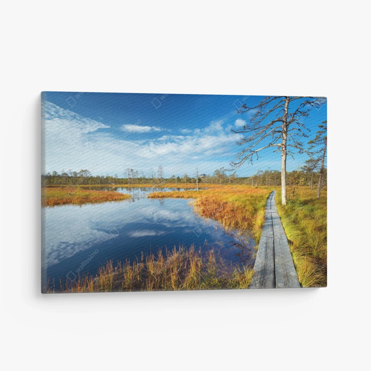 Tableau sur toile passerelle au bord du marais automnal – Wallnifity® Tableau sur toile passerelle au bord du marais automnal – Wallnifity®