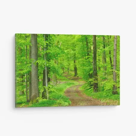 Tableau sur toile sentier verdoyant en forêt – Wallnifity®