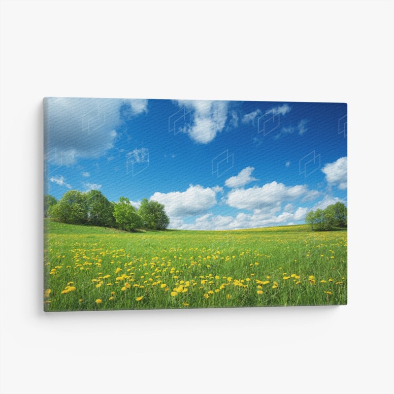 Prairies – Wallnifity®