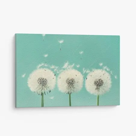 Tableau sur toile souffle de pissenlits sur fond turquoise – Wallnifity®