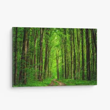 Tableau sur toile allée forestière verdoyante – Wallnifity®
