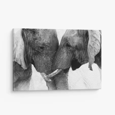 Tableau sur toile portrait intime d'éléphants en noir et blanc – Wallnifity®