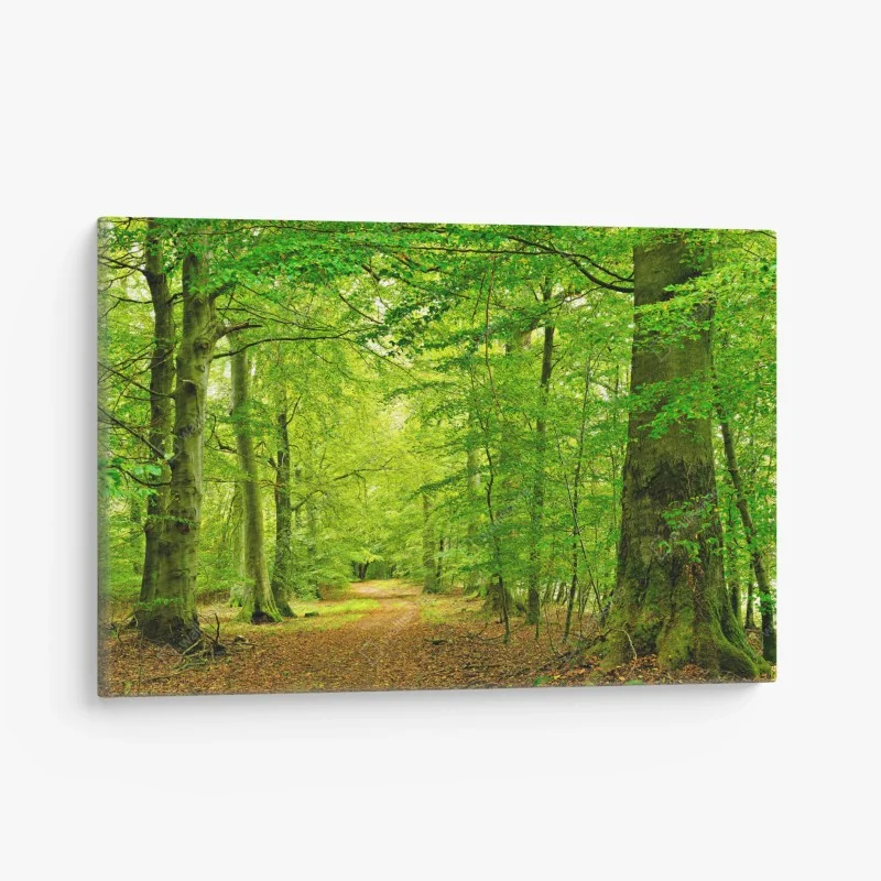 Tableaux sur toile – Wallnifity®