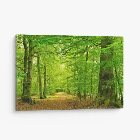 Tableau sur toile chemin forestier verdoyant au cœur du sous-bois – Wallnifity®