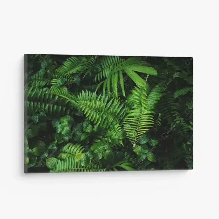 Tableau sur toile jardin vertical tropical luxuriant – Wallnifity®