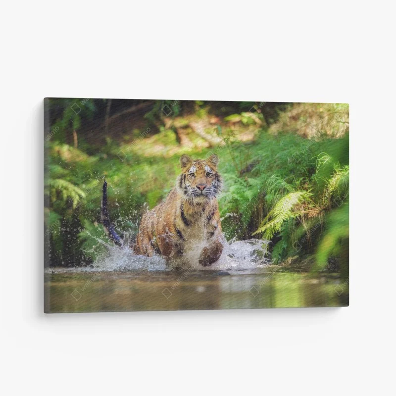 Tableaux sur toile – Wallnifity®