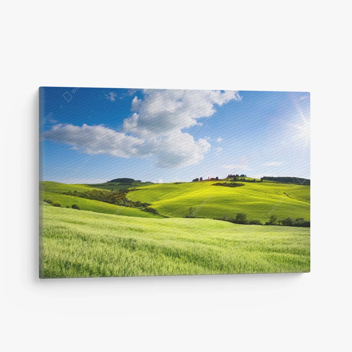 Tableau sur toile douceur des collines de Toscane en lumière dorée – Wallnifity® Tableau sur toile douceur des collines de Toscane en lumière dorée – Wallnifity®