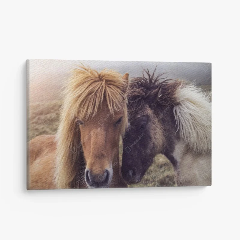 Tableaux sur toile – Wallnifity®