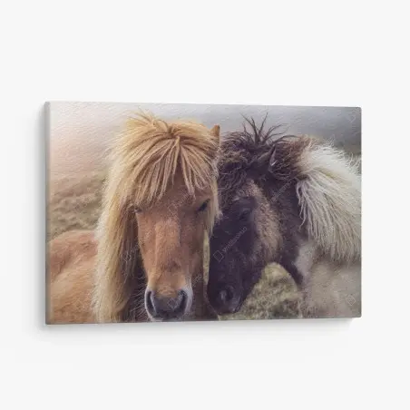 Tableau sur toile chevaux féroïens dans la brume, Îles Féroé – Wallnifity®