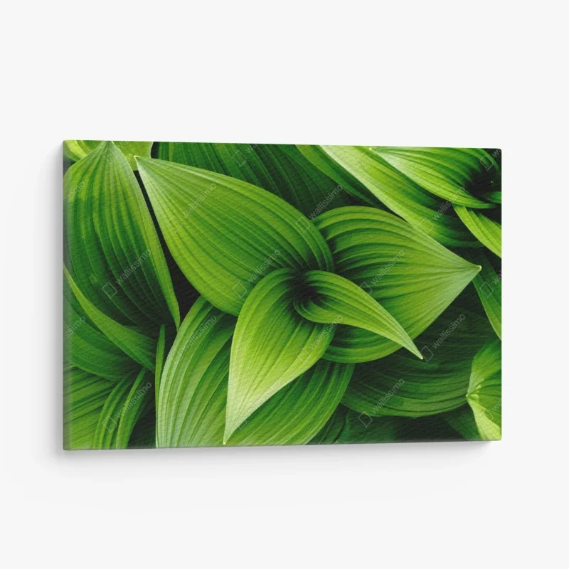 Tableaux sur toile – Wallnifity®