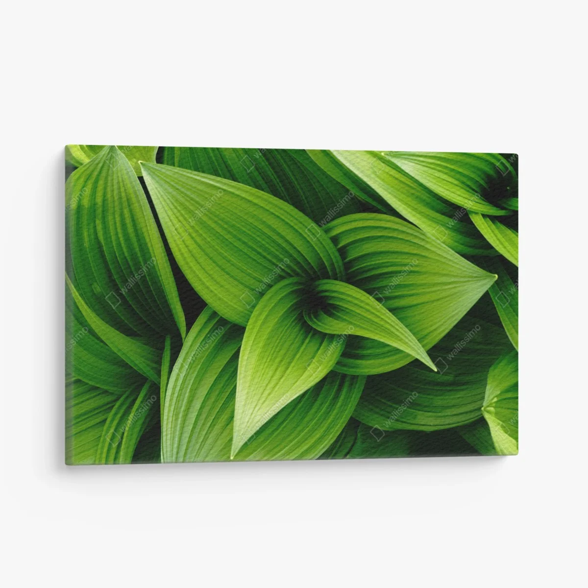 Tableau sur toile feuillage vert luxuriant pour décoration murale – Wallnifity® Tableau sur toile feuillage vert luxuriant pour décoration murale – Wallnifity®