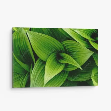 Tableau sur toile feuillage vert luxuriant pour décoration murale – Wallnifity®