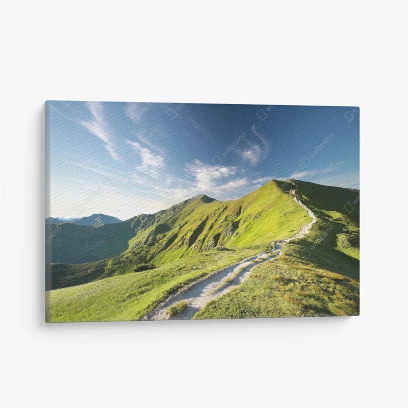 Salon – Wallnifity®