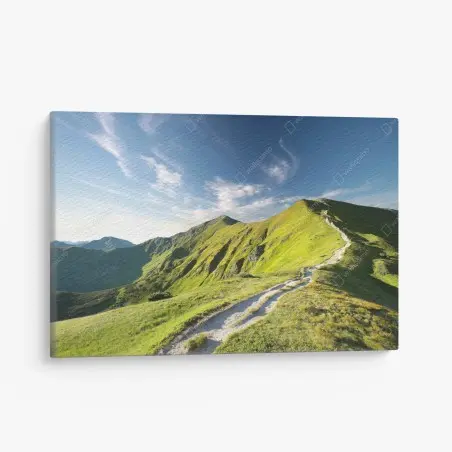 Tableau sur toile sentier de montagne verdoyant – Wallnifity®