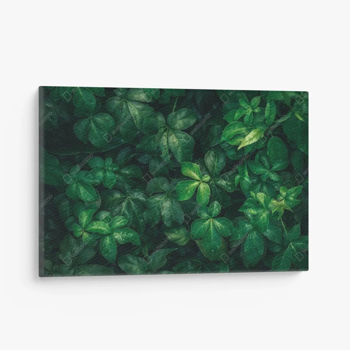 Tableau sur toile canopée verte luxuriante – Wallnifity® Tableau sur toile canopée verte luxuriante – Wallnifity®