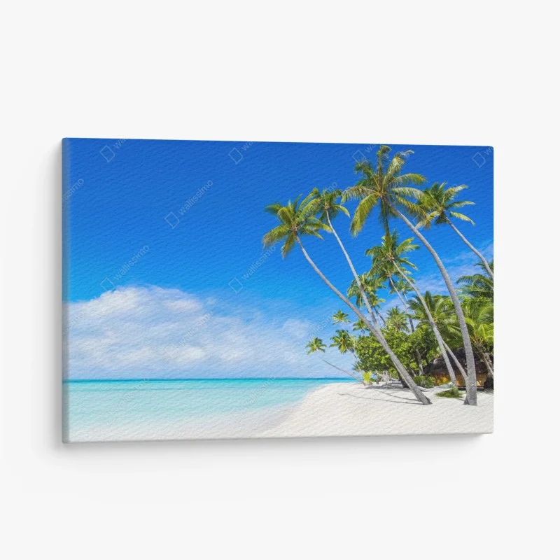 Plage – Wallnifity®