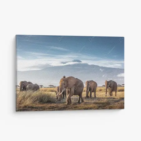 Tableau sur toile troupeau d'éléphants devant le Kilimandjaro – Wallnifity®