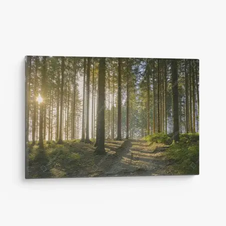 Tableau sur toile sentier forestier baigné de lumière dorée – Wallnifity®