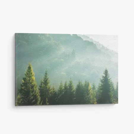 Tableau sur toile brume matinale sur sapins – Wallnifity®