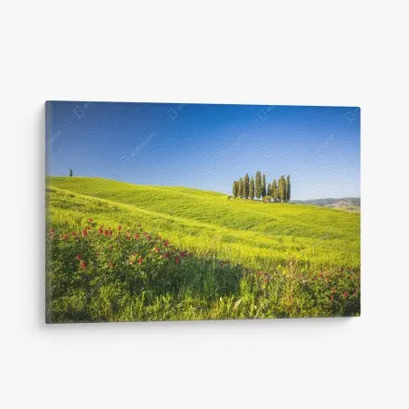Tableau sur toile évasion Toscane: collines verdoyantes et cyprès – Wallnifity®