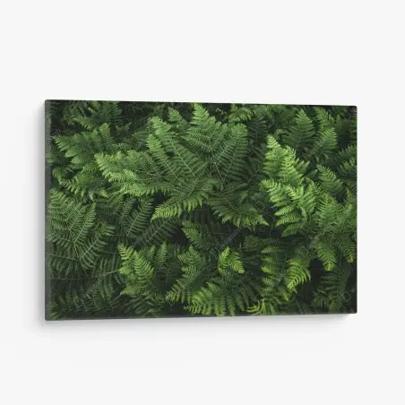 Tableau sur toile motif fougères luxuriantes pour décoration murale – Wallnifity®