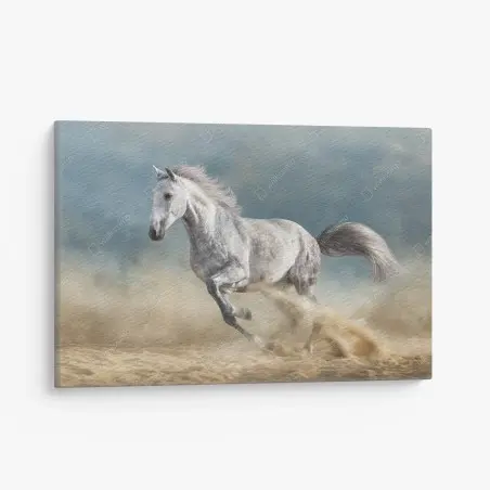 Tableau sur toile cheval gris en plein galop – Wallnifity®