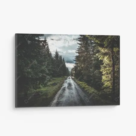 Tableau sur toile route forestière sous ciel dramatique – Wallnifity®