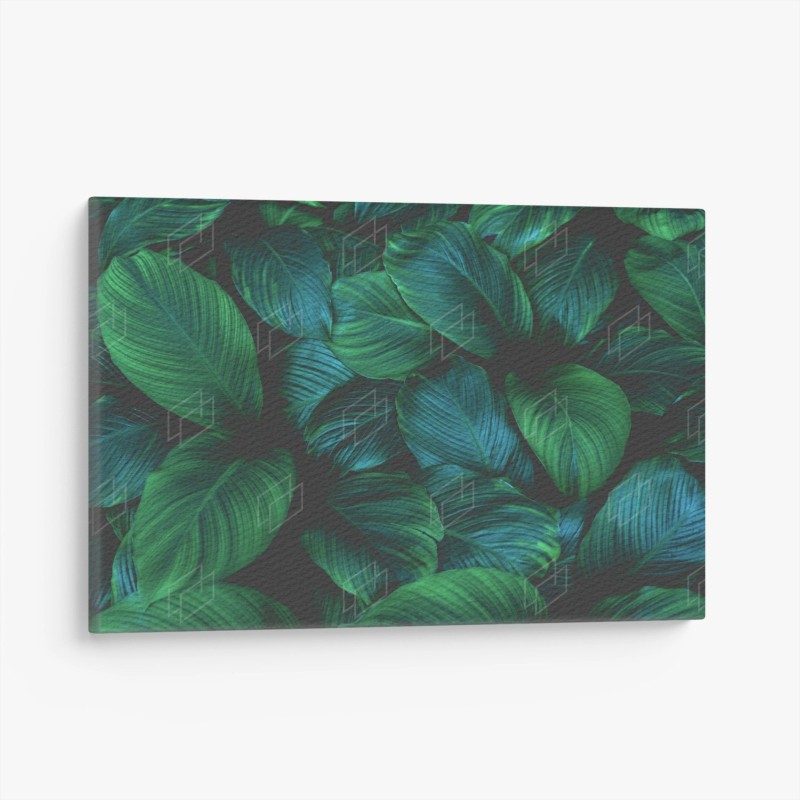 Feuilles – Wallnifity®
