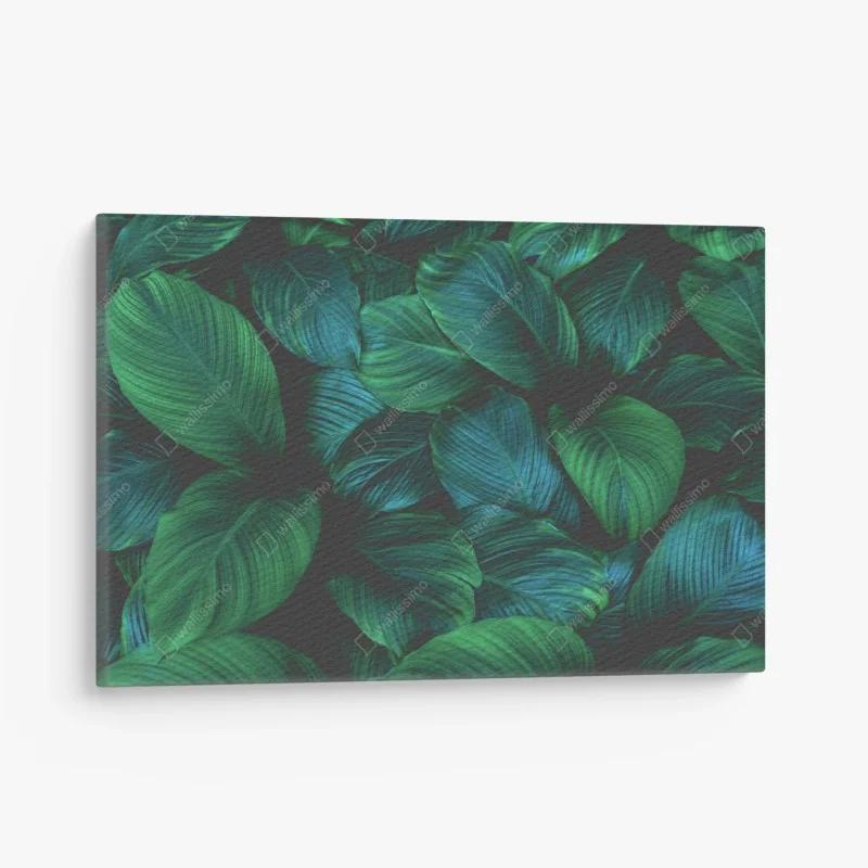 Tableaux sur toile – Wallnifity®