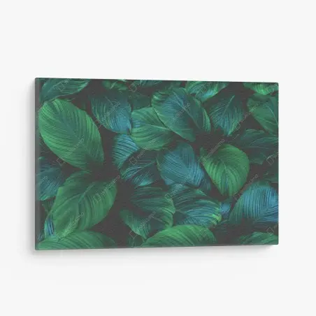 Tableau sur toile motif feuilles tropicales luxuriantes – Wallnifity®